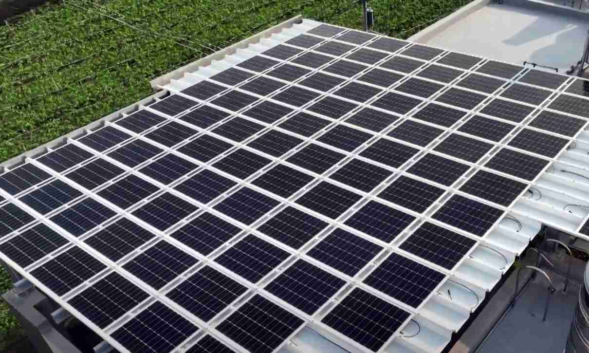 z6mg·人生就是博SunSteel光电浪板升级双玻结构，，，，以提升机械负载强度及气候耐候度，，，可广泛运用于多元场域